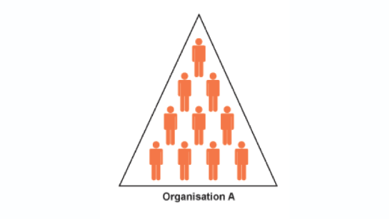 Organisation A